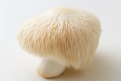 Better Fresh Farms Mushrooms