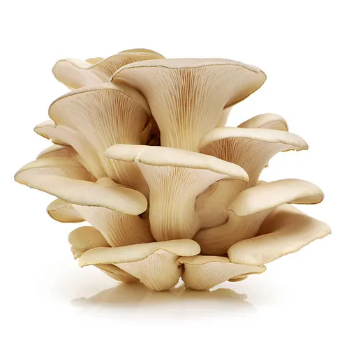 Better Fresh Farms Mushrooms - Image 2